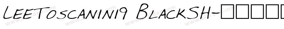 LeeToscanini9 BlackSH字体转换